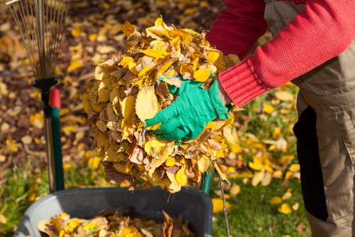 Eco-friendly disposal practices in Eltham flat clearance